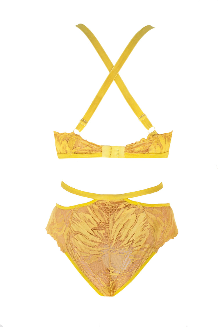 Atlantis Sun Coral Lace and Mother of Pearl Ring High-waisted Panty - Carol Coelho Intimates