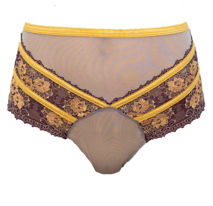Babylon Exquisite Highwaisted Lace and Tulle Panty - Carol Coelho Intimates