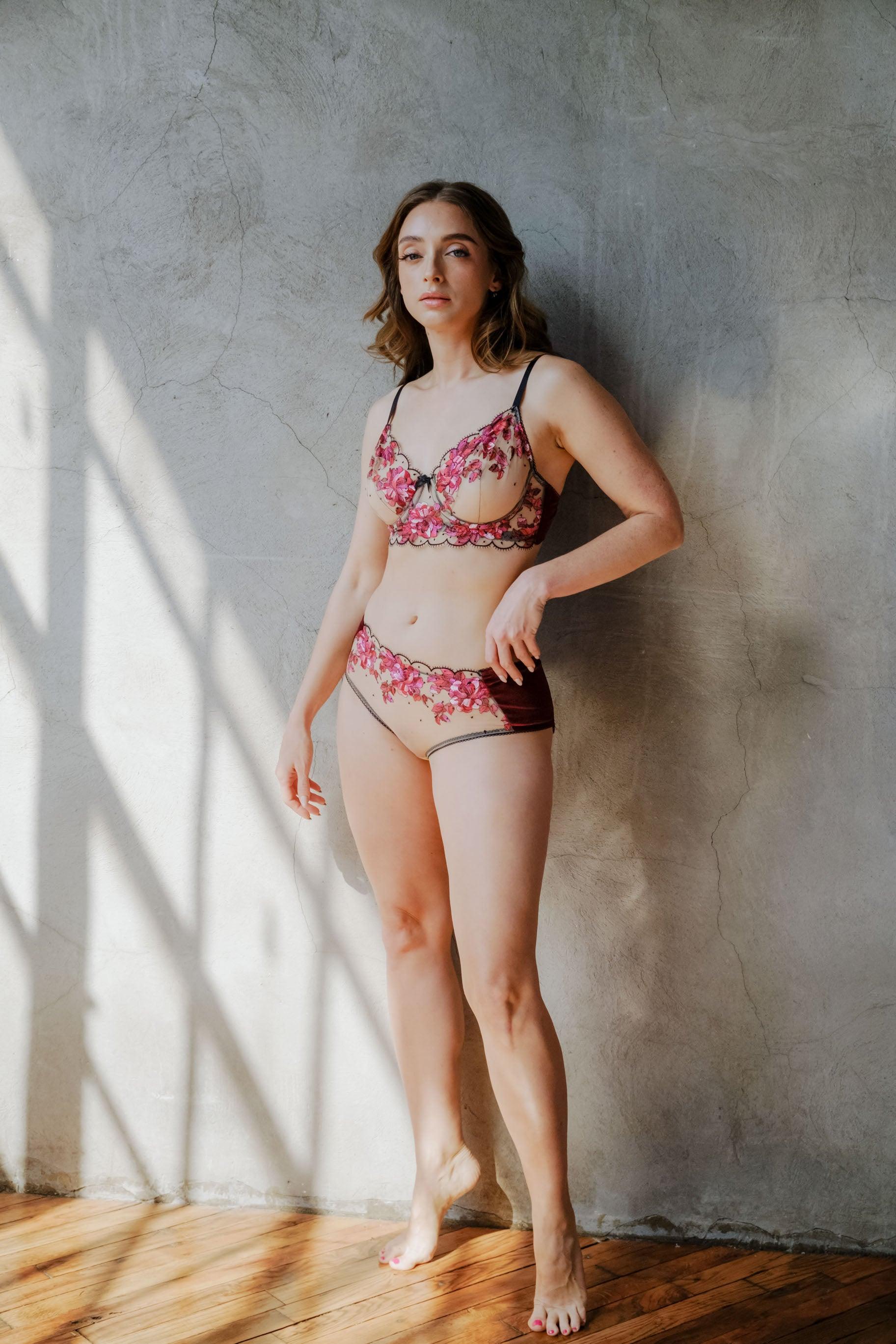 Blossom Embroidered Tulle and Velvet Sides Brief - Carol Coelho Intimates