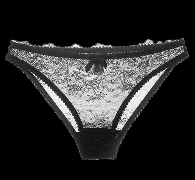Kyoto Black Chantilly Lace Brief - Carol Coelho Intimates