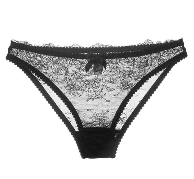 Kyoto Black Chantilly Lace Brief - Carol Coelho Intimates
