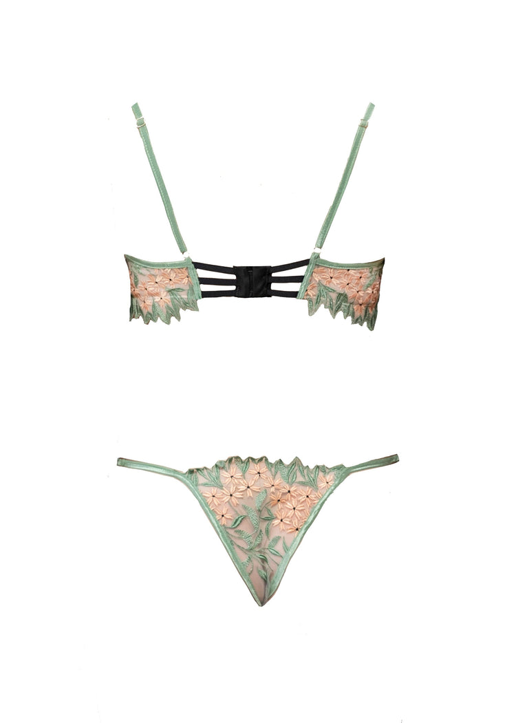 Limited Edition Grace Embroidered Tulle Brazilian Tanga - Carol Coelho Intimates