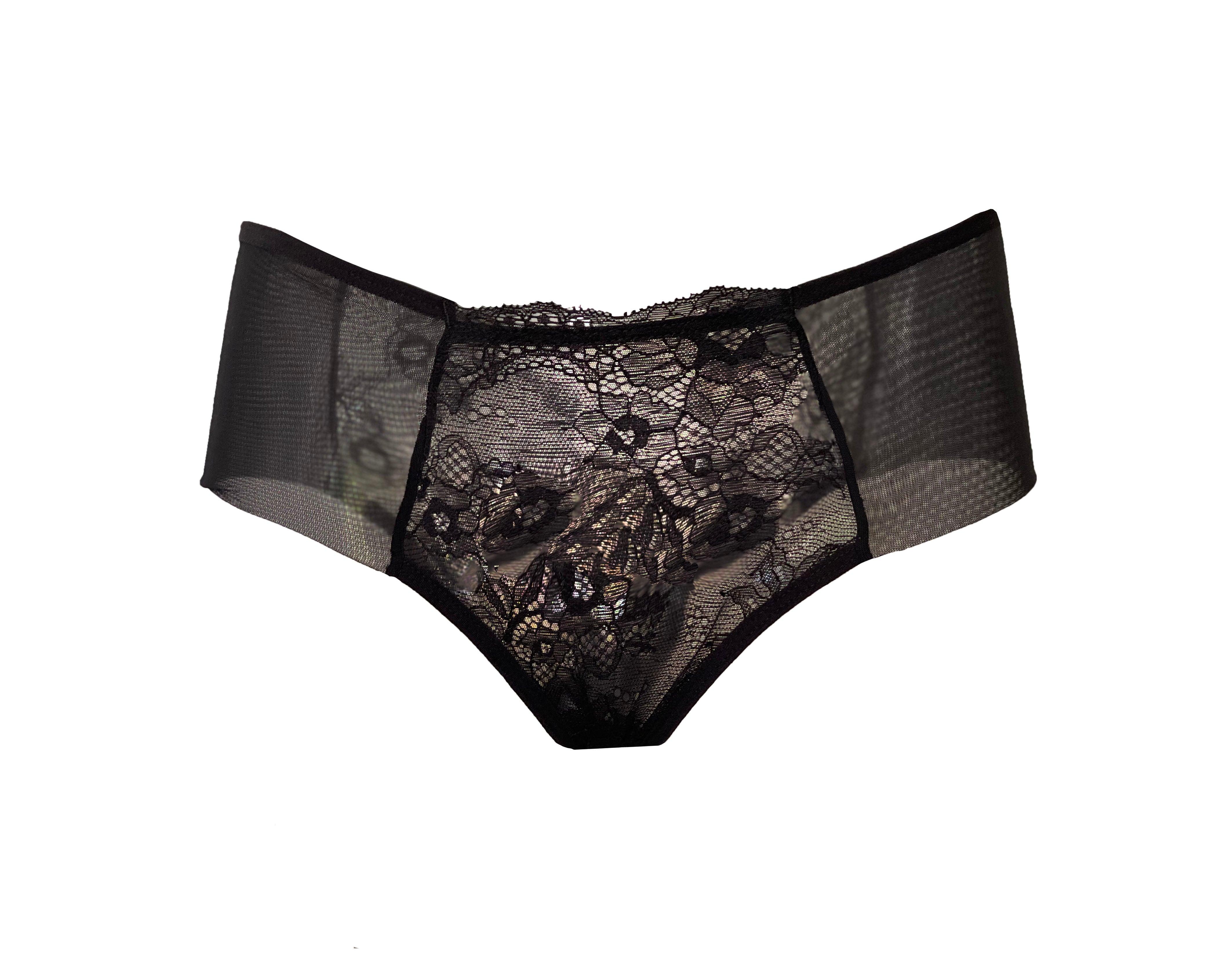 Milano Lace and Tulle Hipster Panties - Carol Coelho Intimates