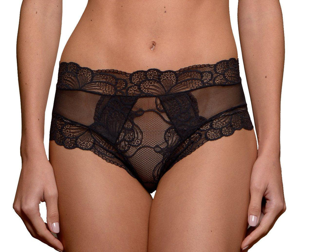 Paris Tulle and Lace Sheer Panties - Carol Coelho Intimates