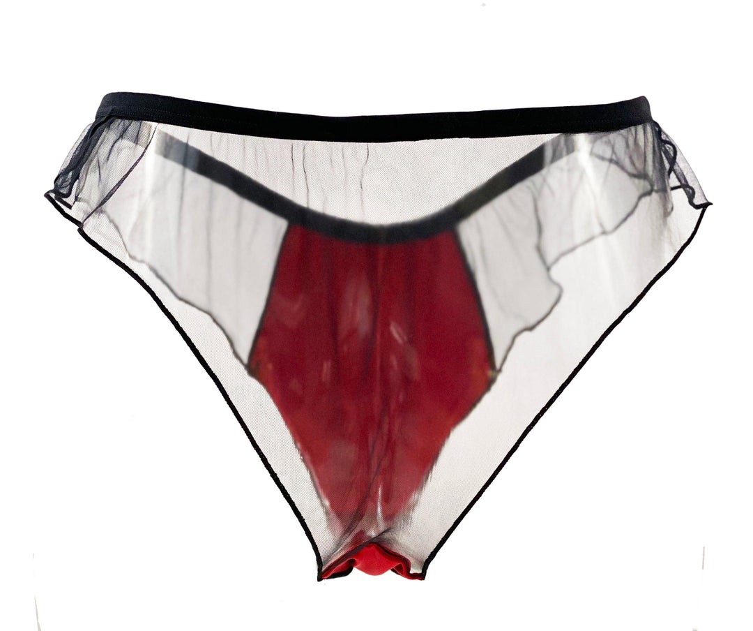 Pomegranate Love Silk Satin and Tulle Frou Frou Tanga - Carol Coelho Intimates