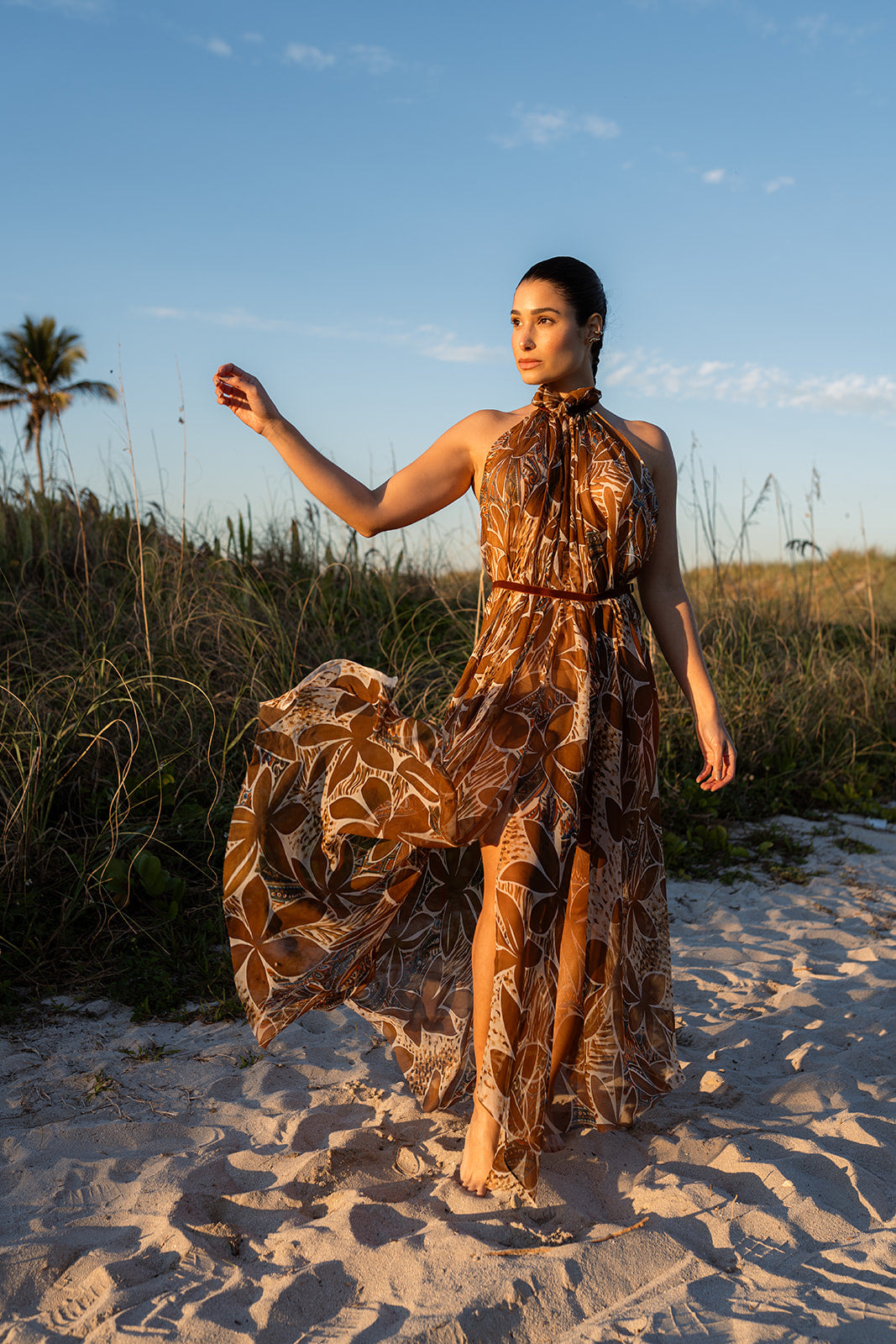 Limited Edition Terraforma Silk Chiffon Long Gown