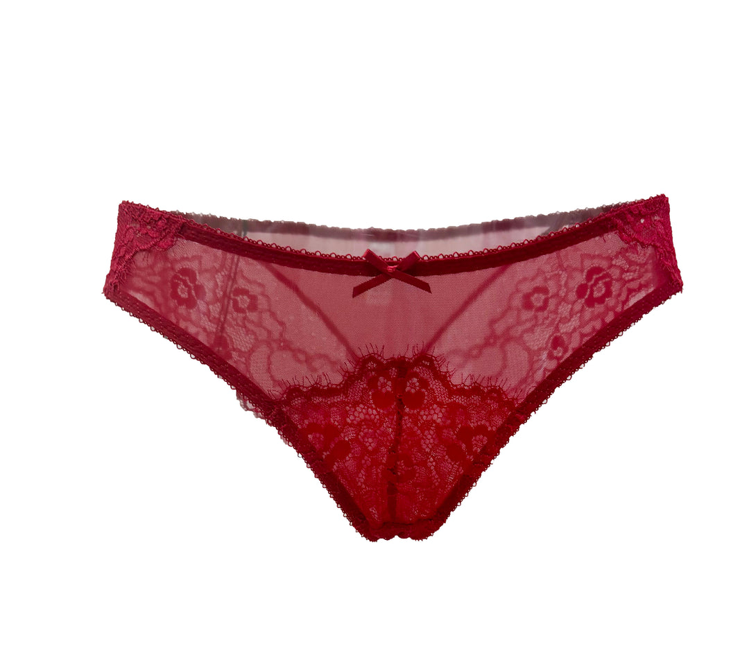 Ruby Nocturne Lace and Mesh Bikini Panty