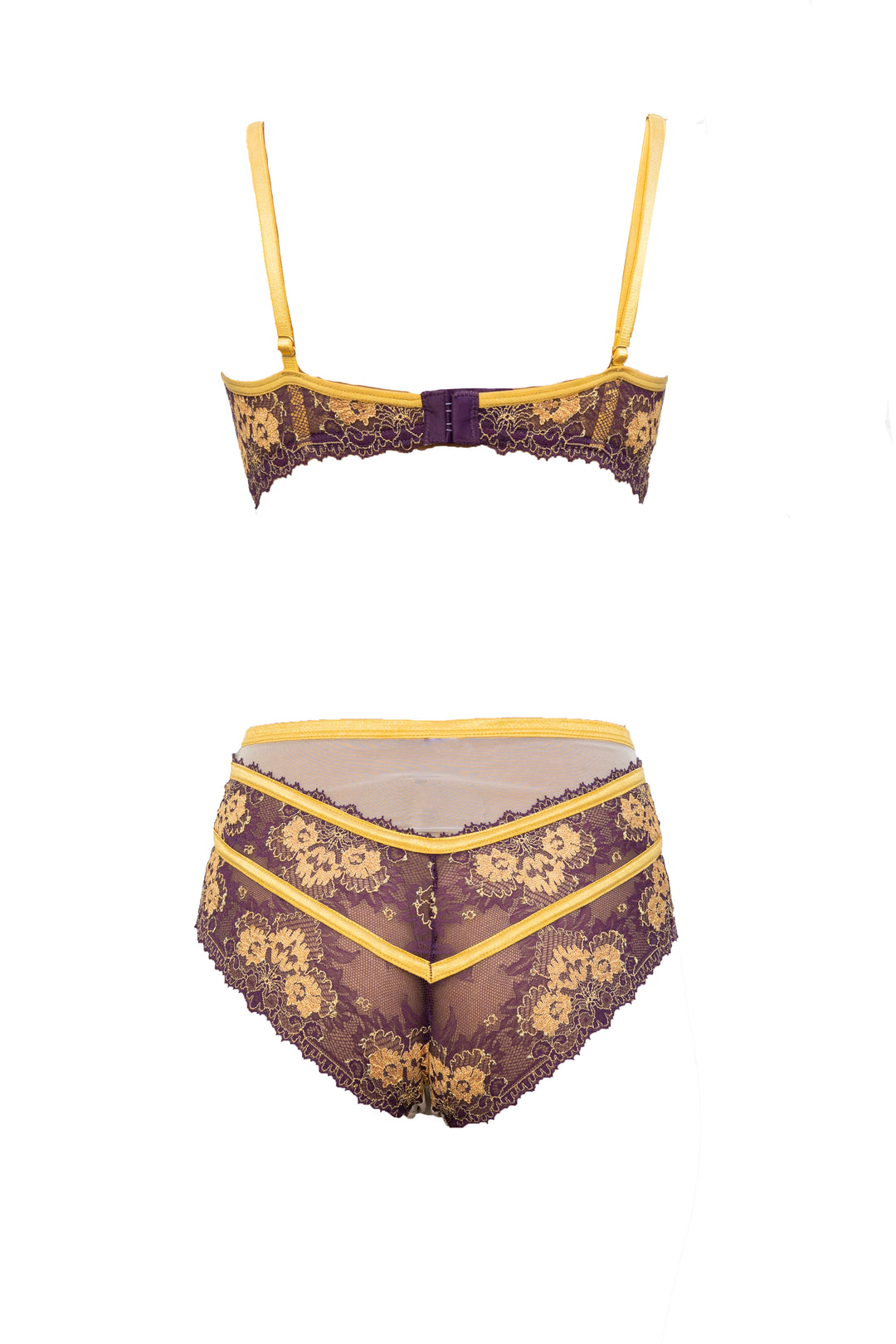 Babylon Exquisite Highwaisted Lace and Tulle Panty