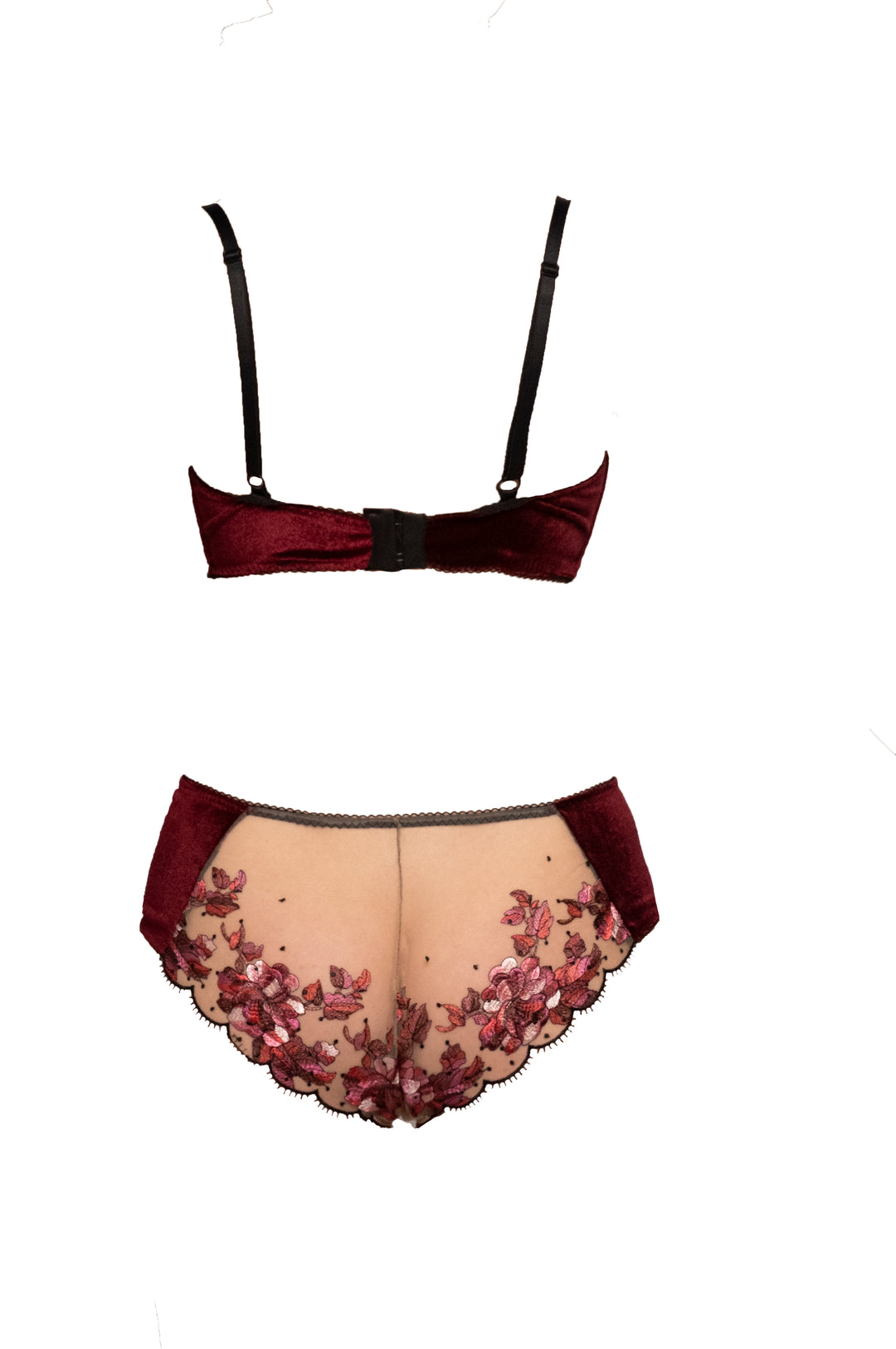 Blossom Embroidered Tulle and Velvet Sides Brief
