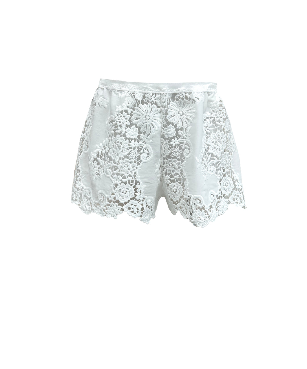 Titanium Guipure Georgette Shorts