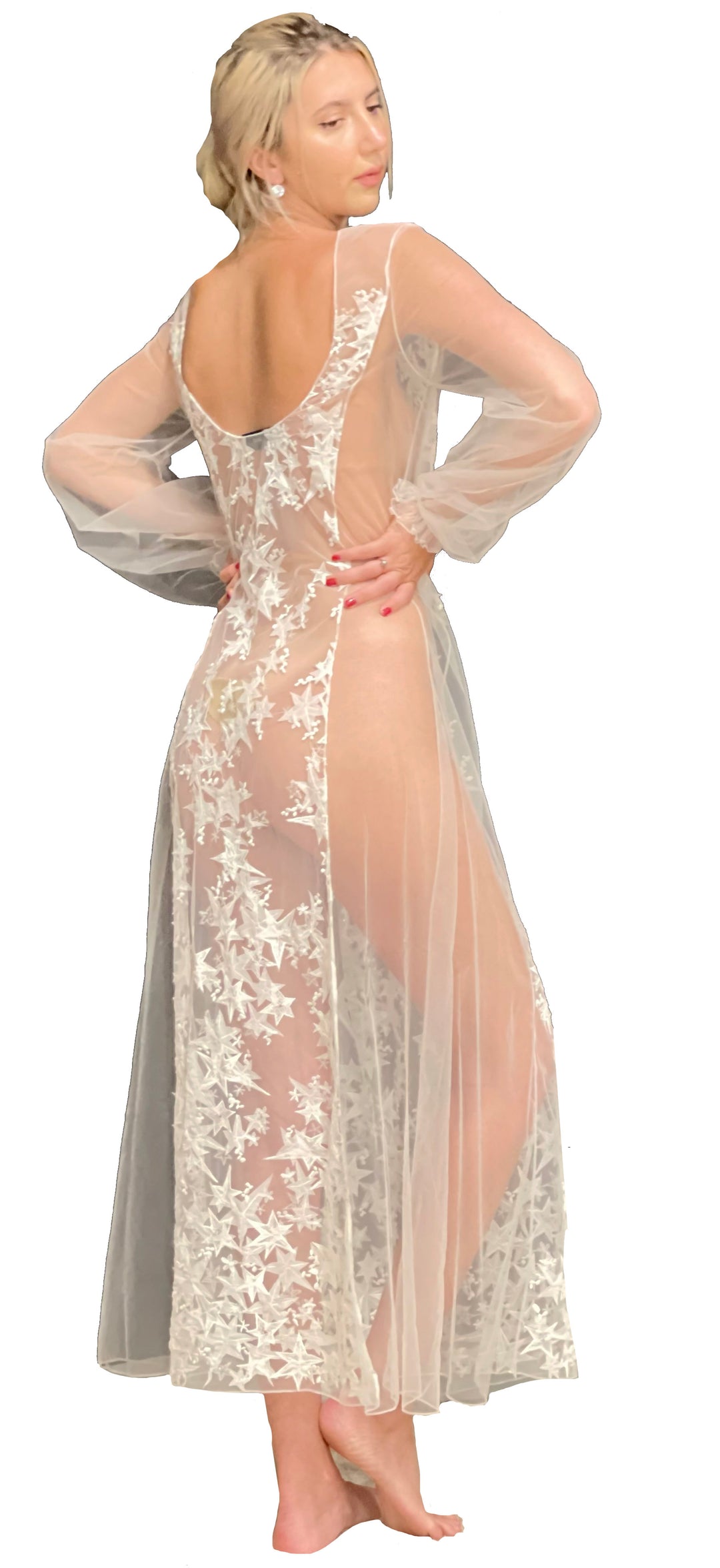 Star Embroidered Tulle Sheer Long Gown