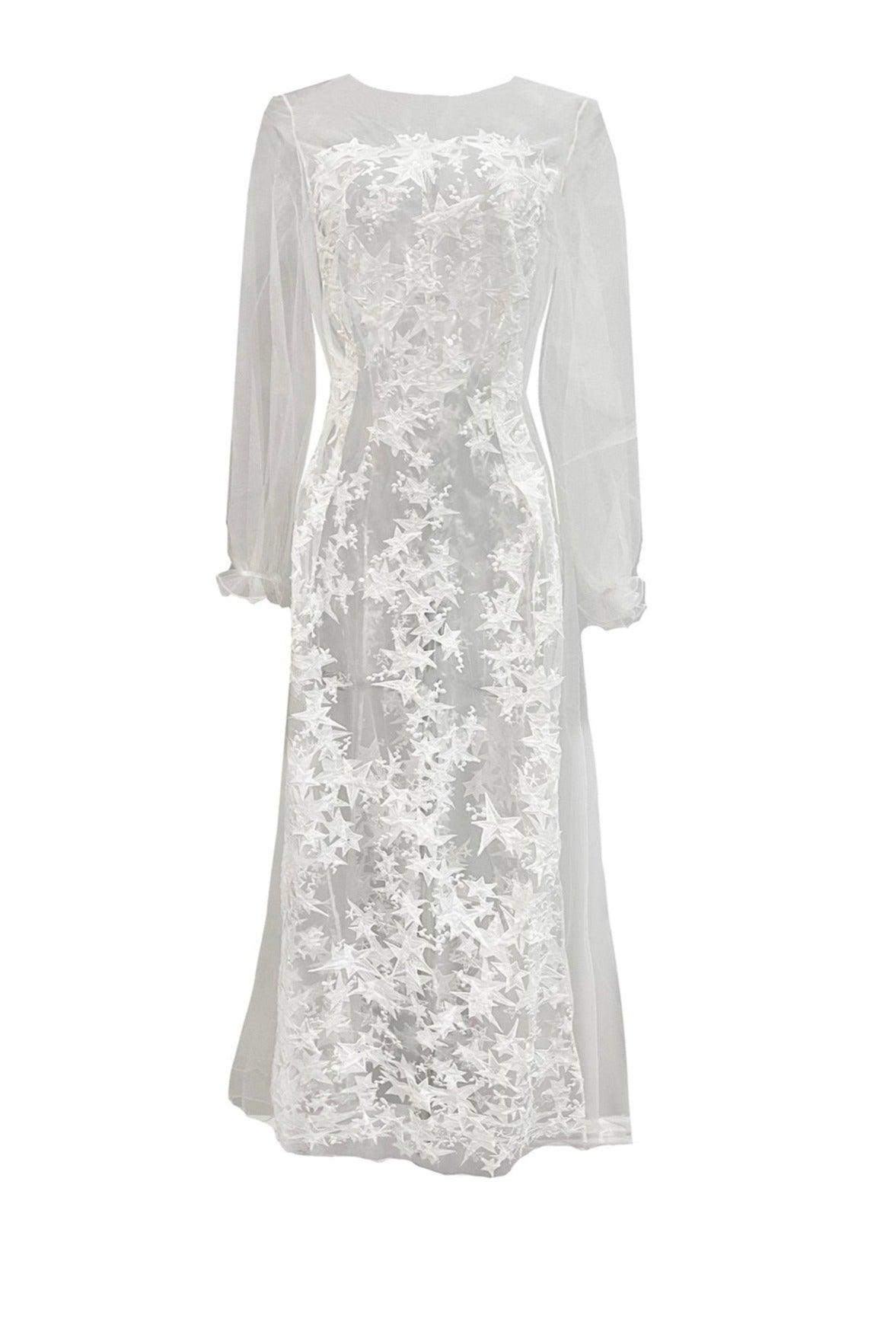 Star Embroidered Tulle Sheer Long Gown Carol Coelho Star Embroidered Tulle Sheer Long Gown Carol Coelho